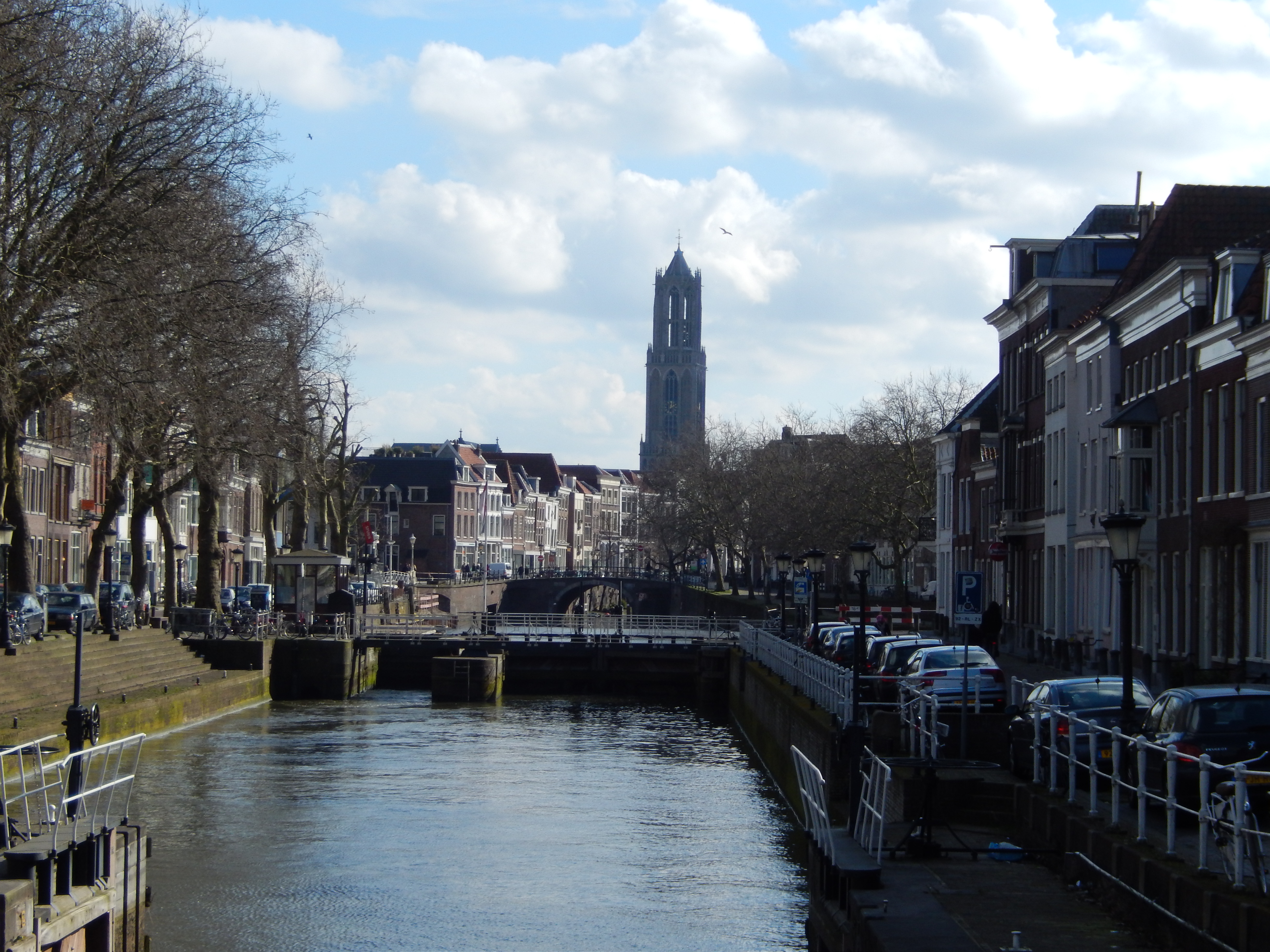 weerdsingel met dom